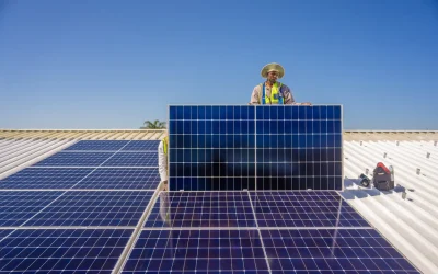 The Future Looks Bright at Paarl School with New Solar Project